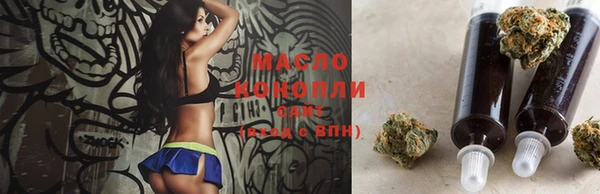 индика Абаза