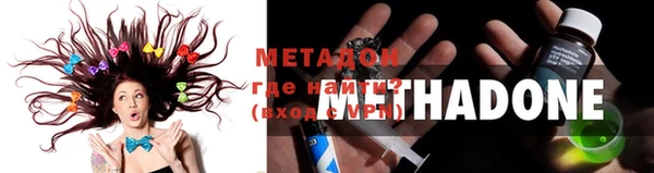индика Абаза
