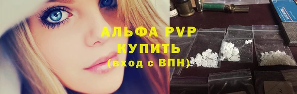 индика Абаза