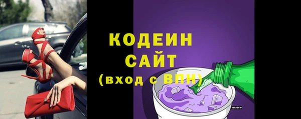 индика Абаза