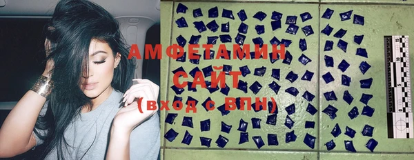 индика Абаза