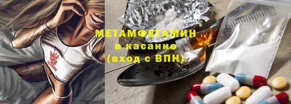 индика Абаза