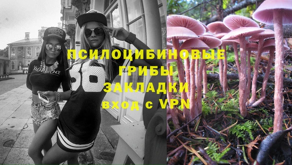 ешки Белая Холуница