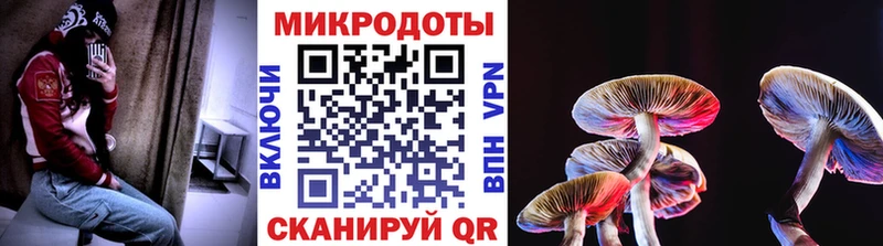 блэк спрут как зайти Ладушкин Псилоцибиновые грибы мицелий